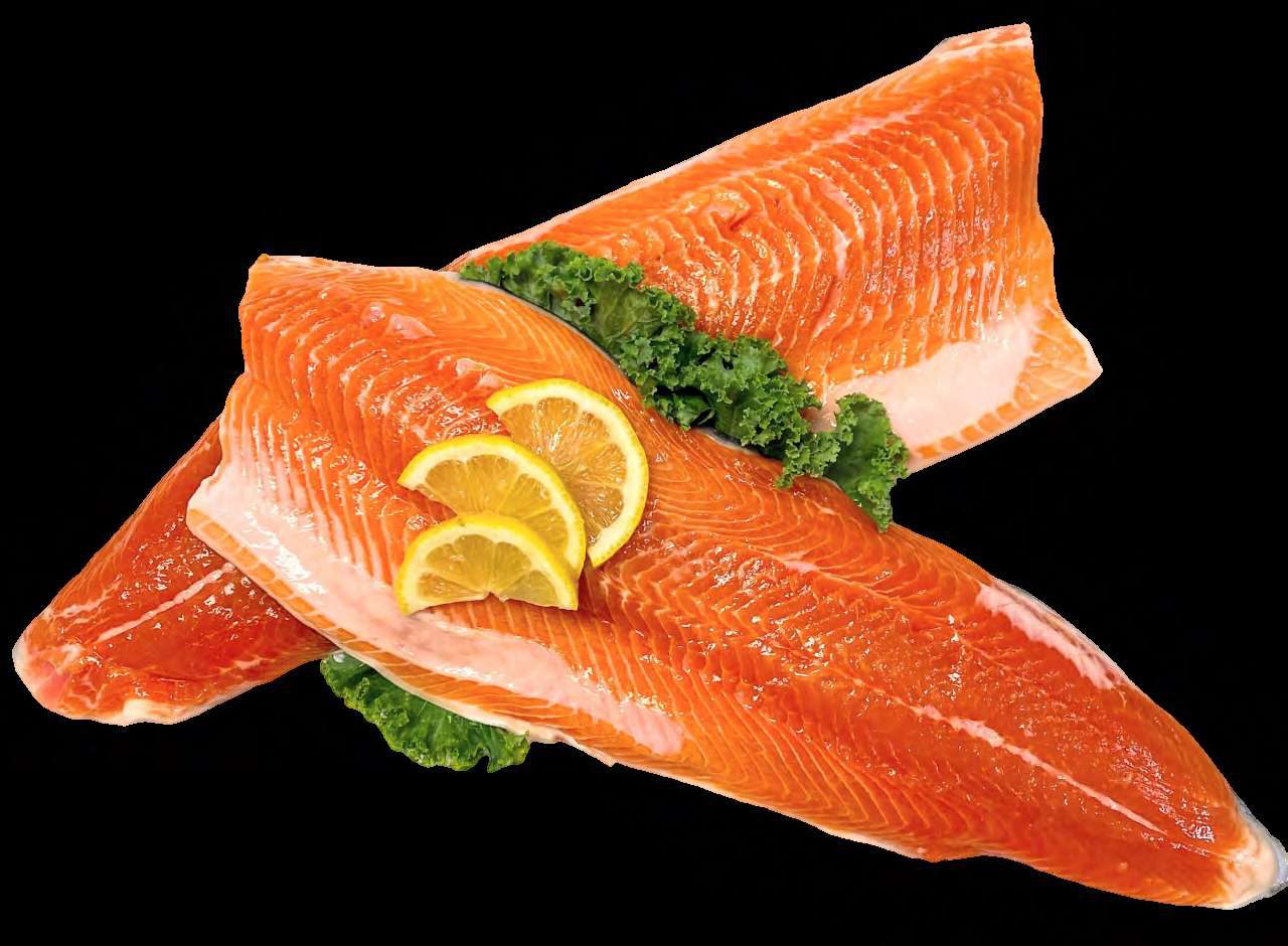 Fresh Arctic charr fillets