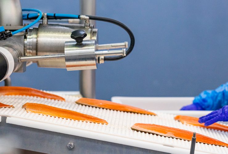 Stainless-steel automated filleting line handling Arctic charr