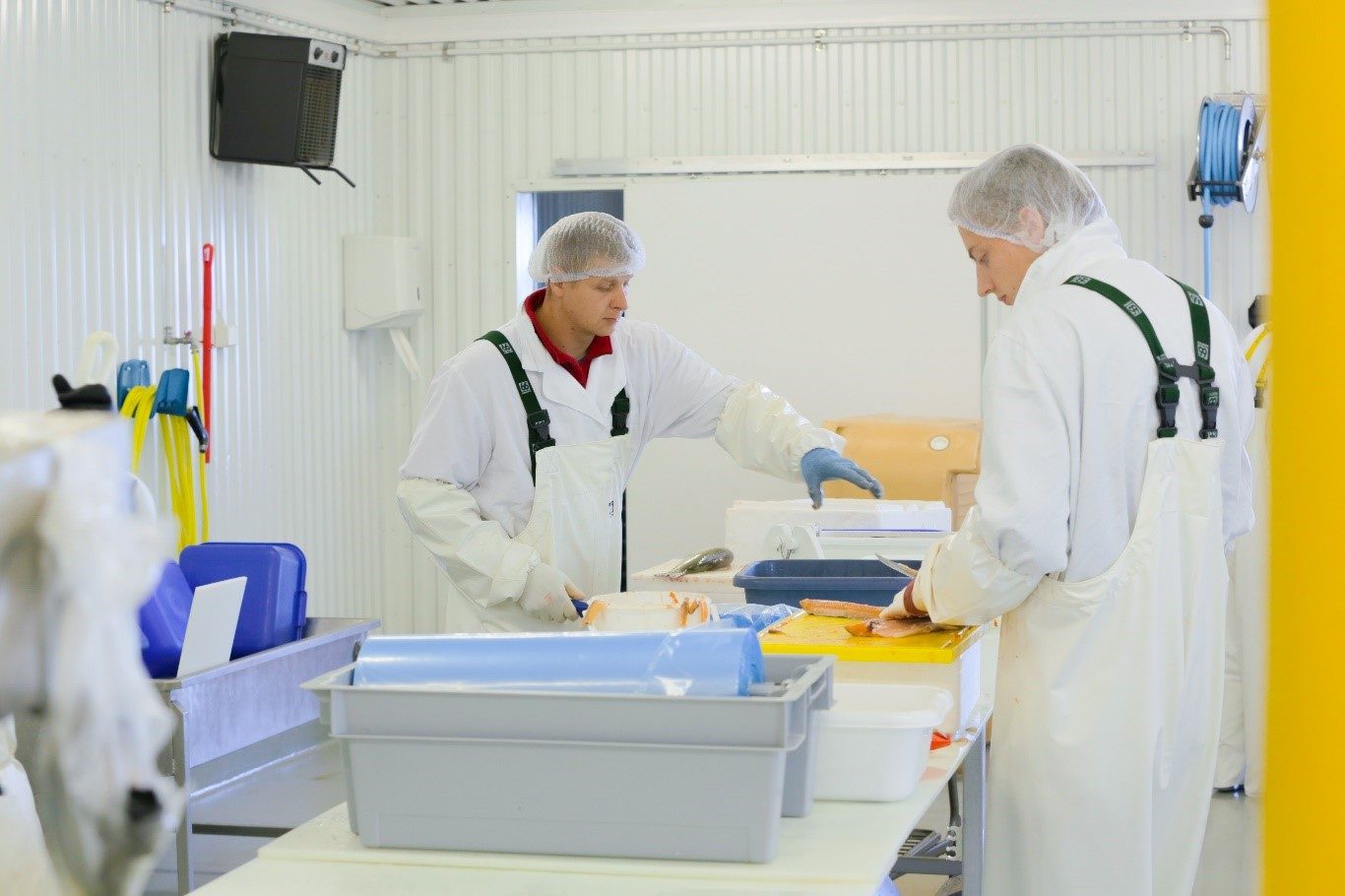 Clean, food-grade fish processing room with staff in protective clothing